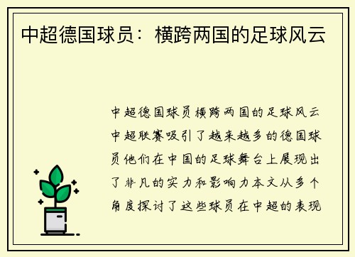 中超德国球员：横跨两国的足球风云